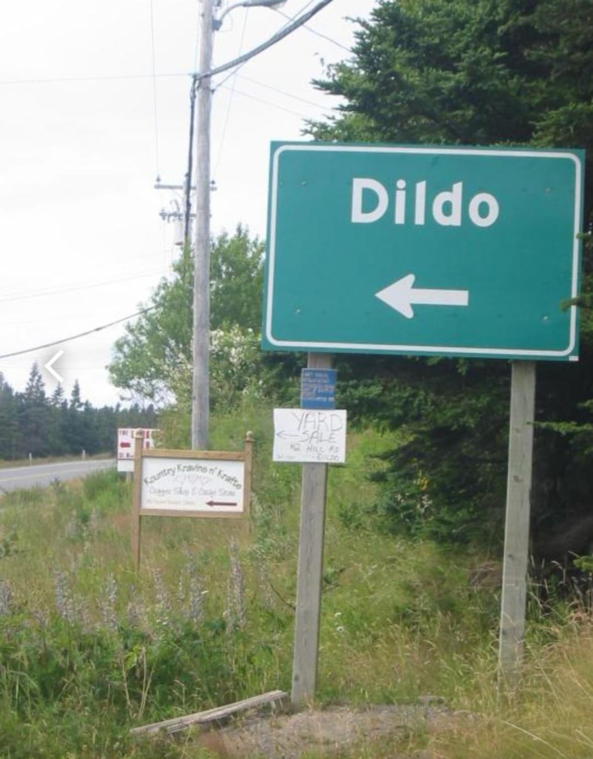 dildo in canada